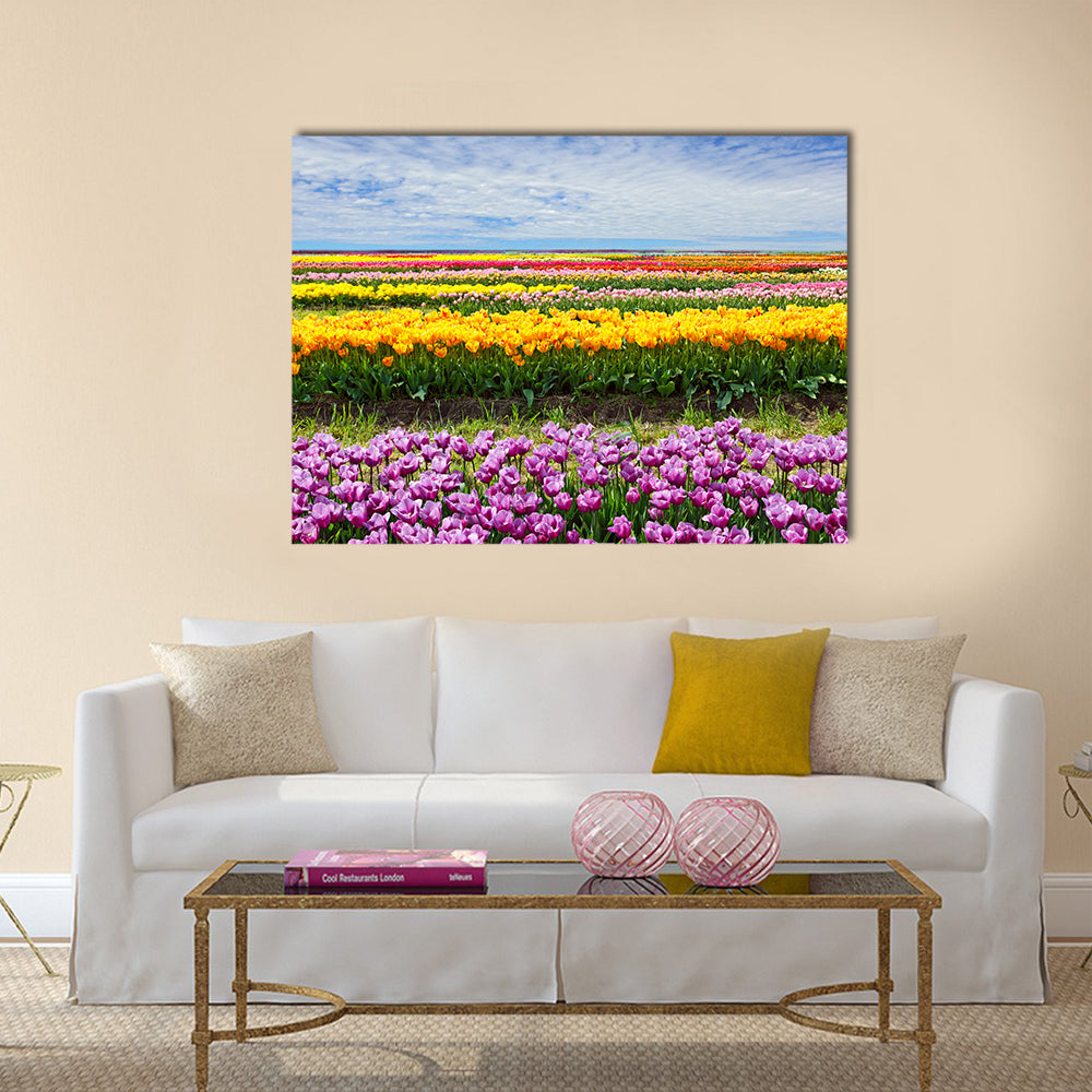 Horizontal row of tulips on the field in the spring time Multi panel canvas wall art