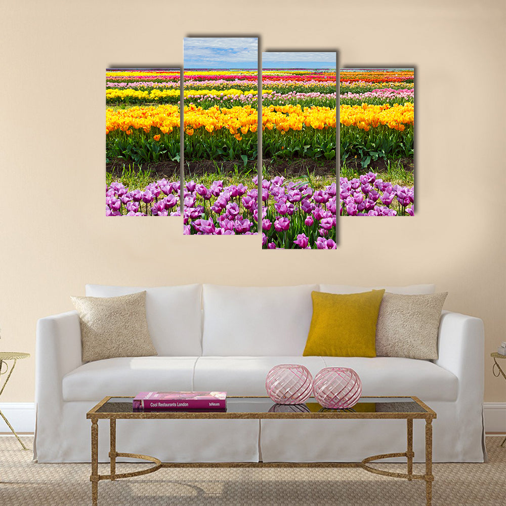 Horizontal row of tulips on the field in the spring time Multi panel canvas wall art