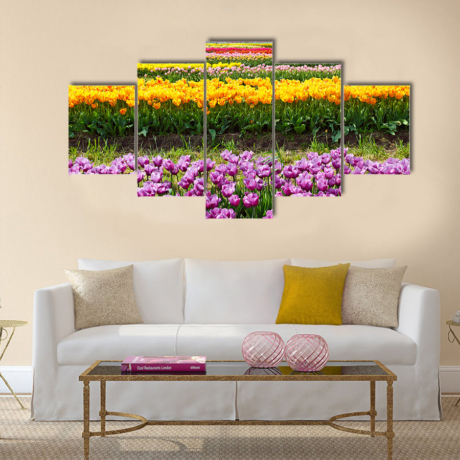 Horizontal row of tulips on the field in the spring time Multi panel canvas wall art