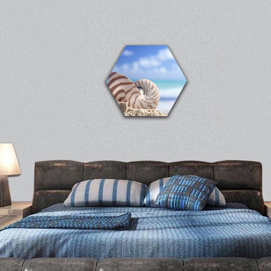 nautilus shell on a caribbean beach hexagonal canvas wall art