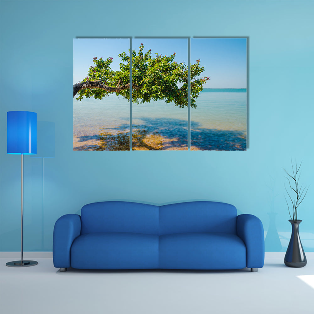 Beautiful landscape of tree growing over ocean at beach of Bijagos island Bubaque, Guinea Bissau, West Africa Multi panel canvas wall art