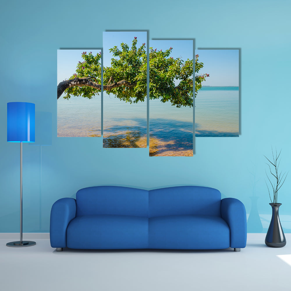 Beautiful landscape of tree growing over ocean at beach of Bijagos island Bubaque, Guinea Bissau, West Africa Multi panel canvas wall art