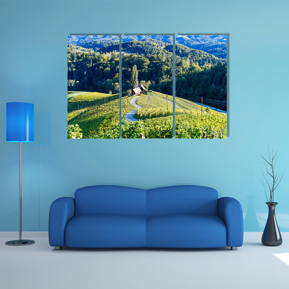 A famous Heart shaped wine road in Slovenia, vineyard near Maribor multi panel canvas wall art
