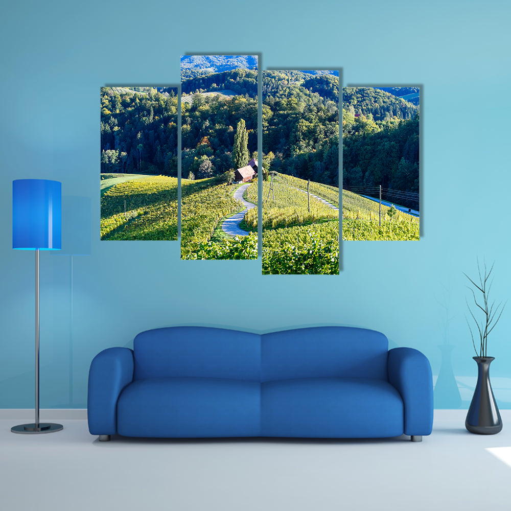 Famous Heart shaped wine road in Slovenia, a vineyard near Maribor multi panel canvas wall art