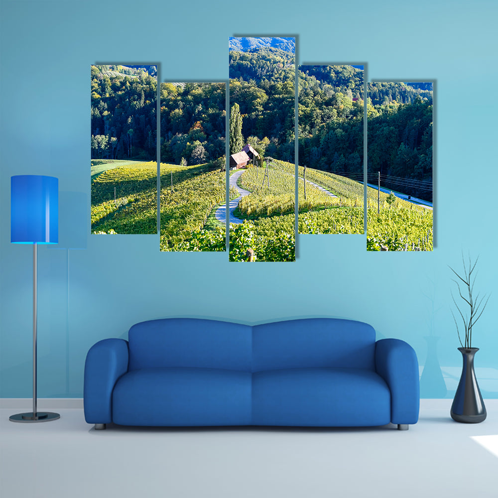 A famous Heart shaped wine road in Slovenia, vineyard near Maribor multi panel canvas wall art