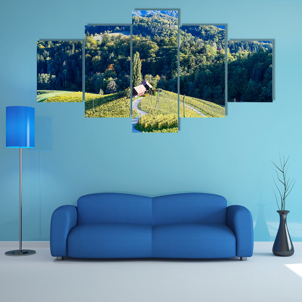 A famous Heart shaped wine road in Slovenia, vineyard near Maribor multi panel canvas wall art