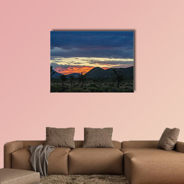 The rising sun breaking trough a thin layer of clouds in Joshua wall art