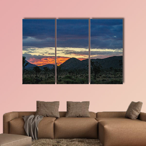The rising sun breaking trough a thin layer of clouds in Joshua wall art