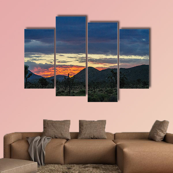 The rising sun breaking trough a thin layer of clouds in Joshua wall art
