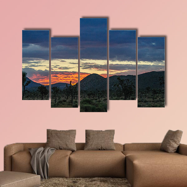The rising sun breaking trough a thin layer of clouds in Joshua wall art