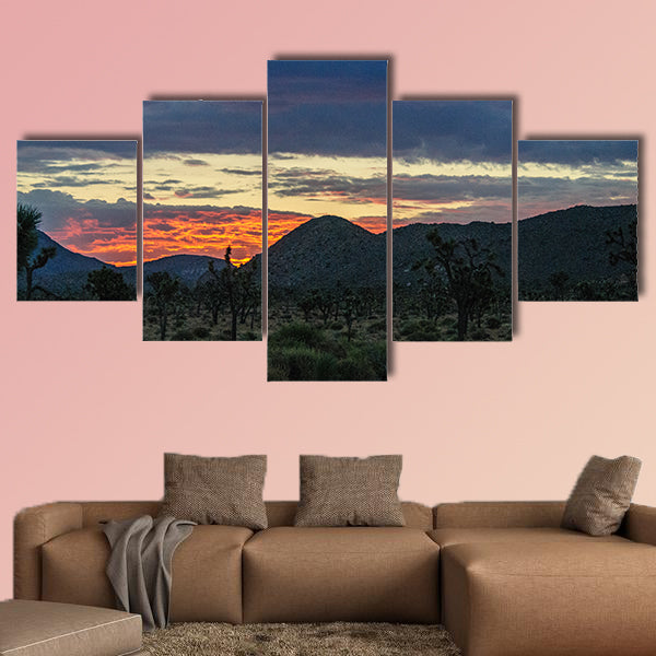 The rising sun breaking trough a thin layer of clouds in Joshua wall art