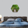 Bridge to the jungle, Thailand hexagonal canvas wall art