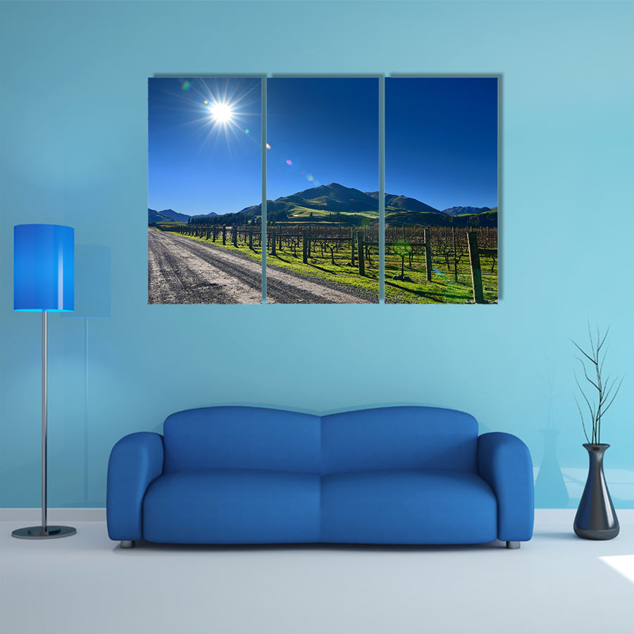 Scenic Vineyard In Canterbury New Zealand Multi Panel Canvas Wall Art