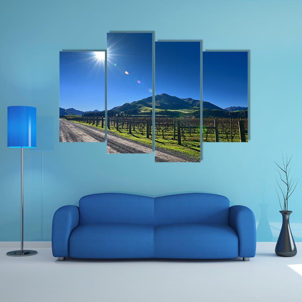 Scenic Vineyard In Canterbury New Zealand Multi Panel Canvas Wall Art