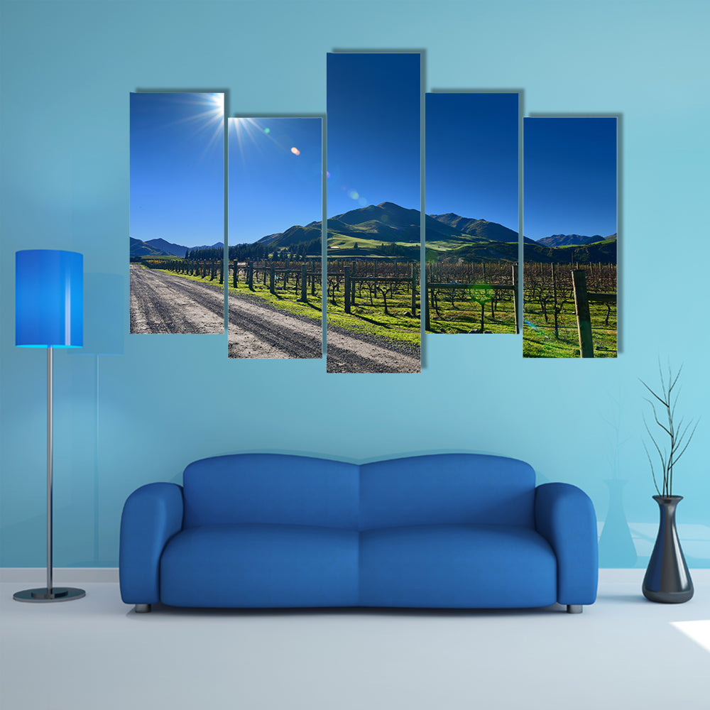 Scenic Vineyard In Canterbury New Zealand Multi Panel Canvas Wall Art