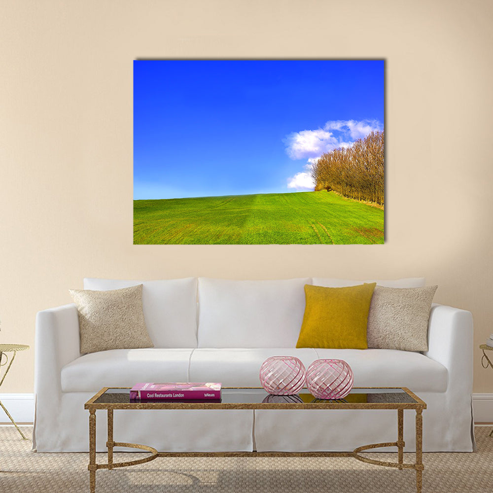 landscape in Denmark early spring Multi Panel Canvas Wall Art