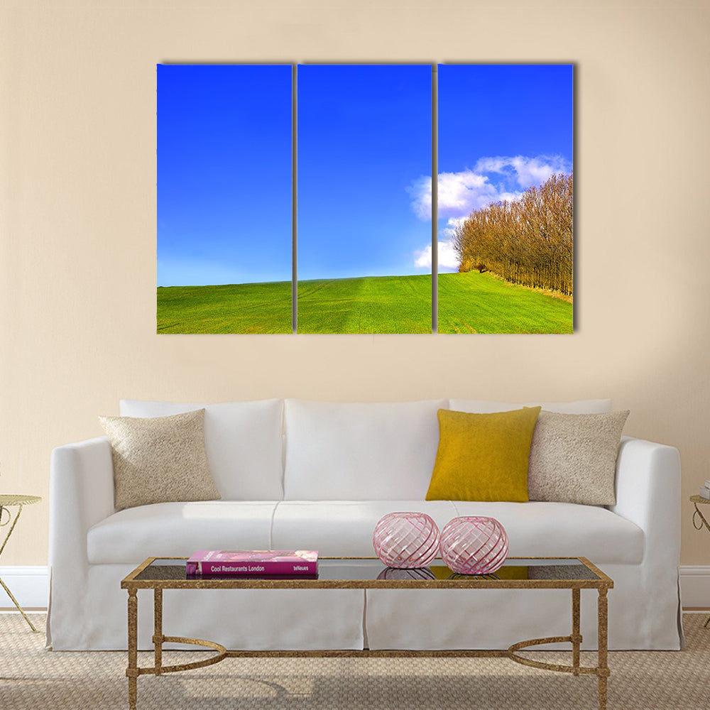 landscape in Denmark early spring Multi Panel Canvas Wall Art