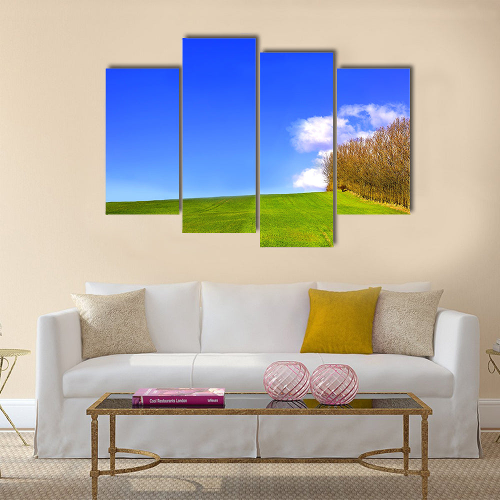 landscape in Denmark early spring Multi Panel Canvas Wall Art