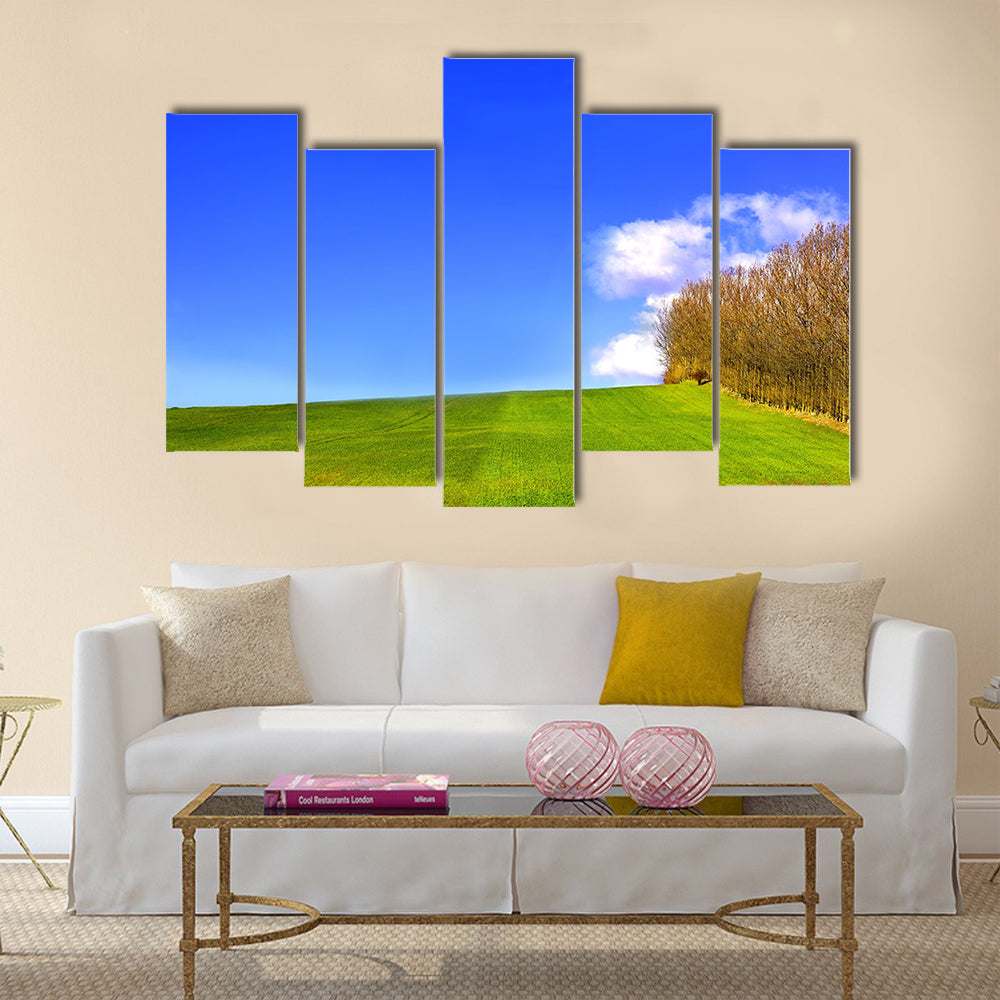 landscape in Denmark early spring Multi Panel Canvas Wall Art
