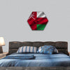 Flag of Oman hexagonal canvas wall art