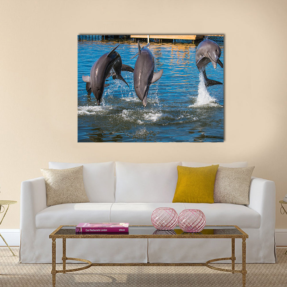 Three Dolphins are jumping and swimming in a pool multi panel canvas wall art