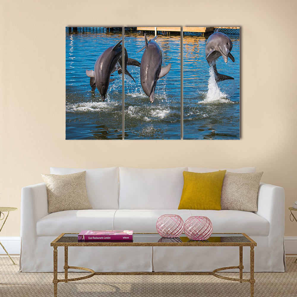 Three Dolphins are jumping and swimming in a pool multi panel canvas wall art