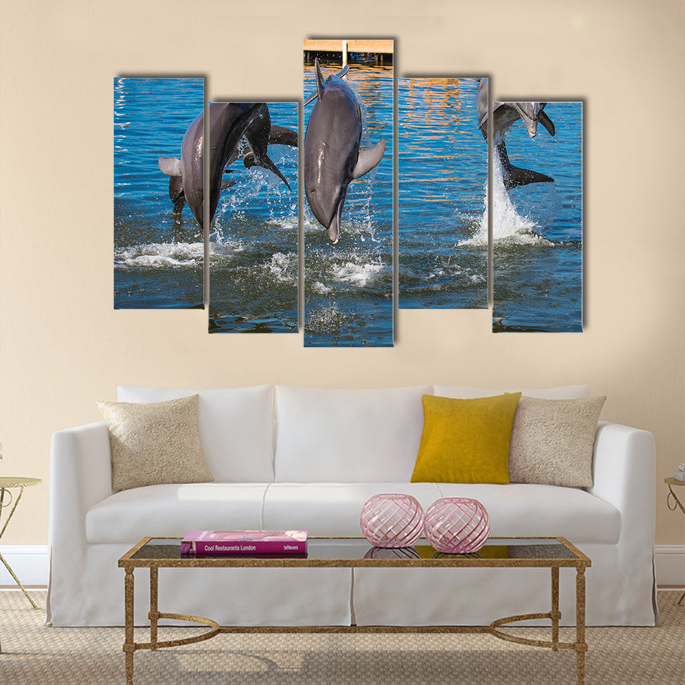 Three Dolphins are jumping and swimming in a pool multi panel canvas wall art