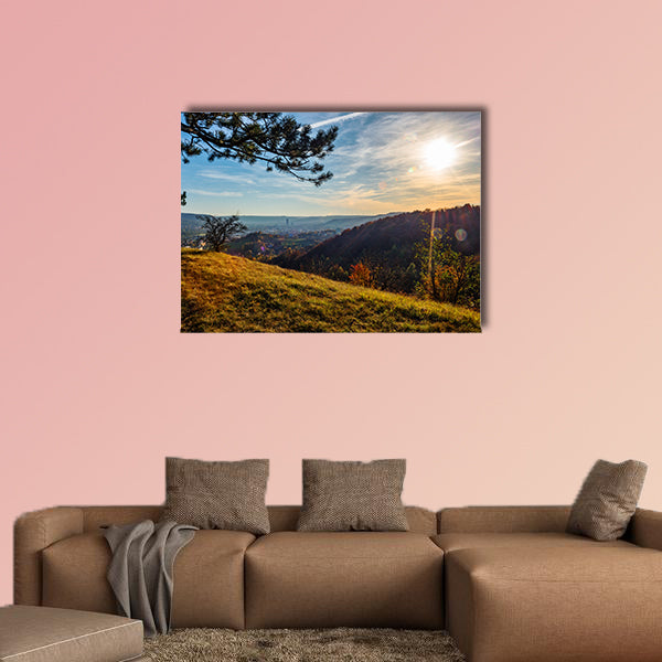 The city Jena on the Saale in the middle of Thuringia wall art