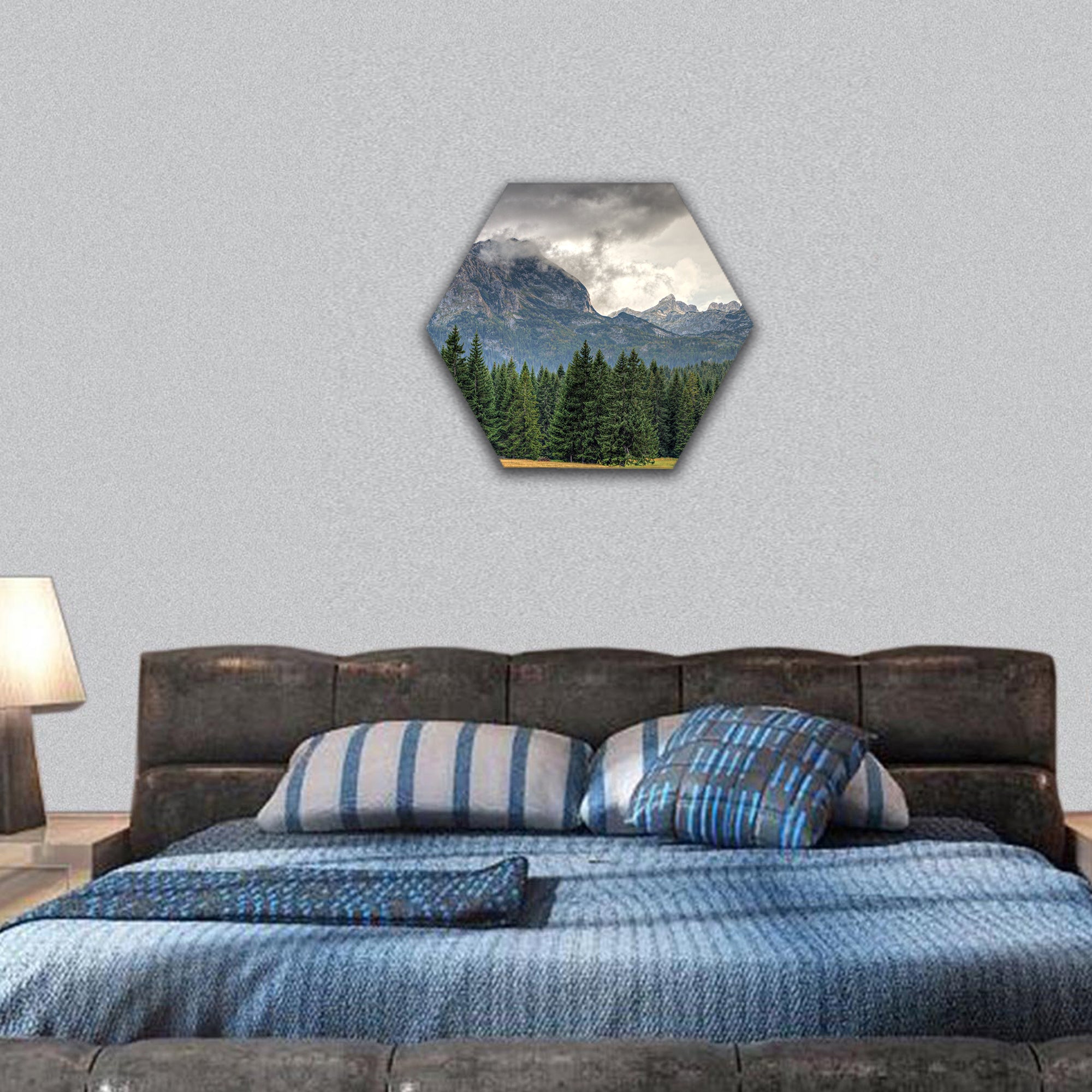Haunted woods of National Park Montenegro hexagonal canvas wall art