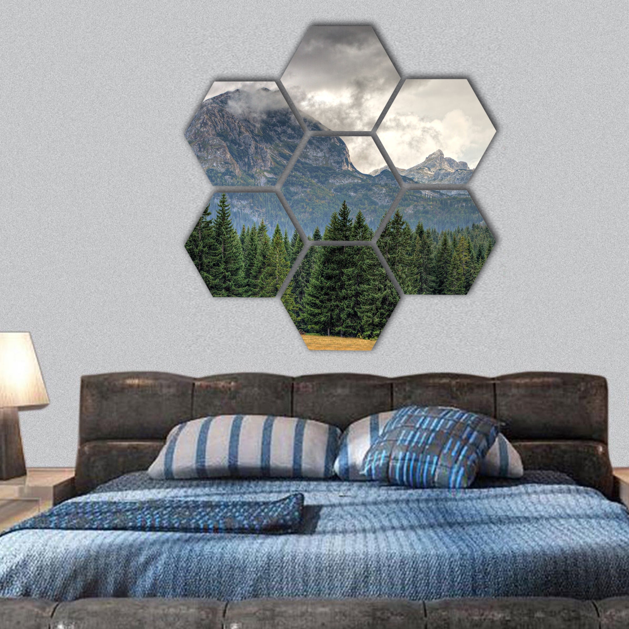 Haunted woods of National Park Montenegro hexagonal canvas wall art