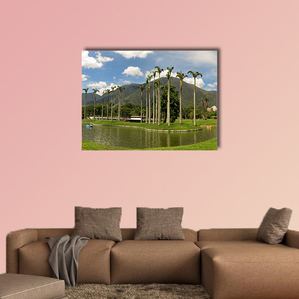 Beautiful view of Avila Mountain from the East Park Caracas wall art