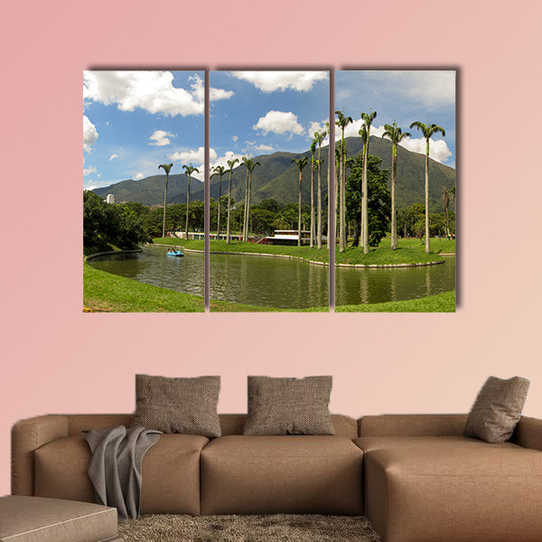 Beautiful view of Avila Mountain from the East Park Caracas wall art