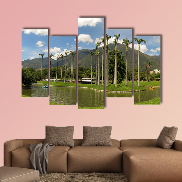 Beautiful view of Avila Mountain from the East Park Caracas wall art