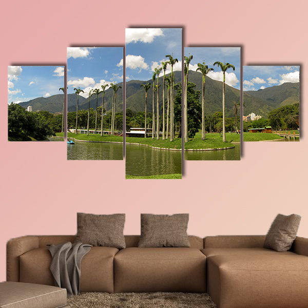 Beautiful view of Avila Mountain from the East Park Caracas wall art
