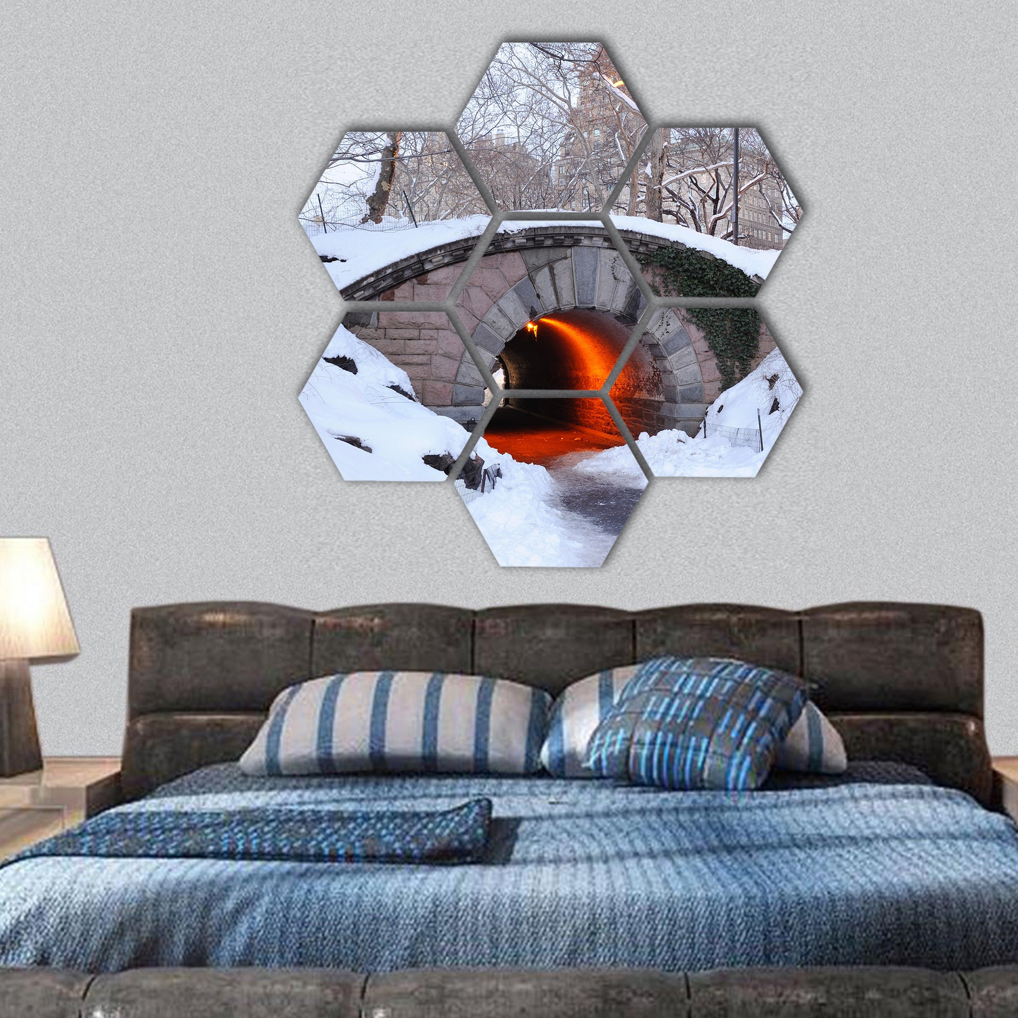 Manhattan Central Park in winter with bridge hexagonal canvas wall art