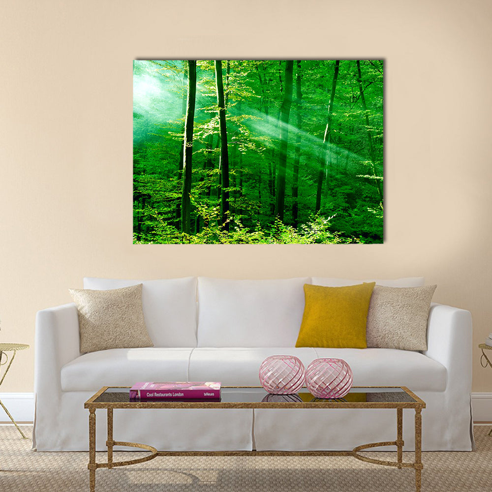 Lights of the forest multi panel canvas wall art
