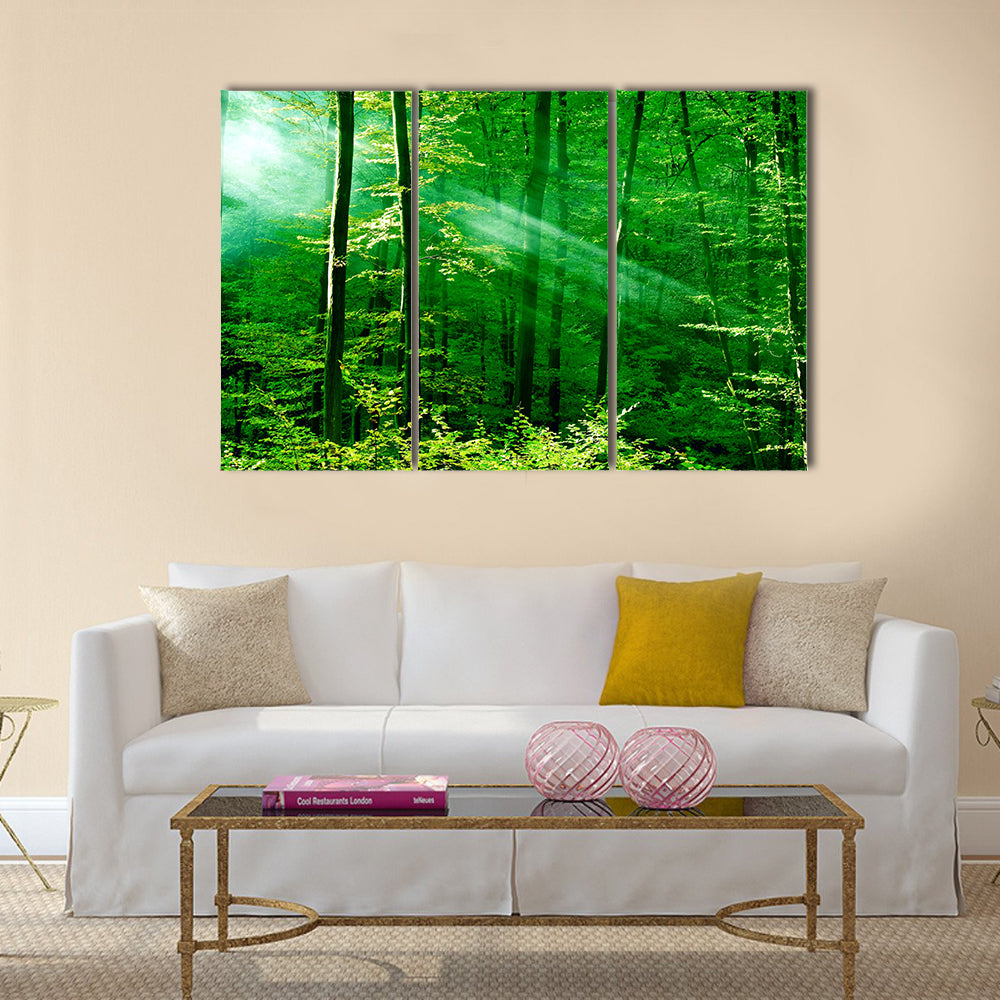 Lights of the forest multi panel canvas wall art