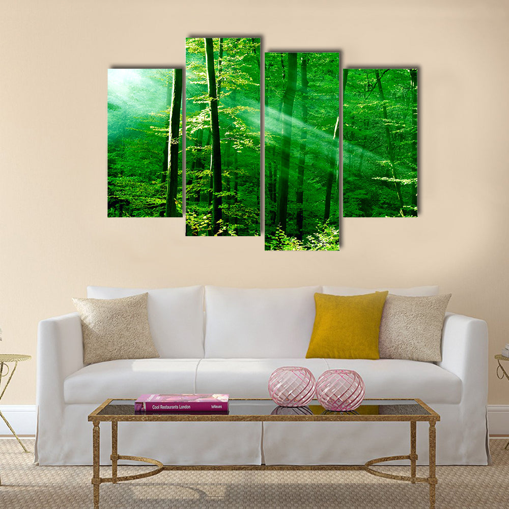 Lights of the forest multi panel canvas wall art