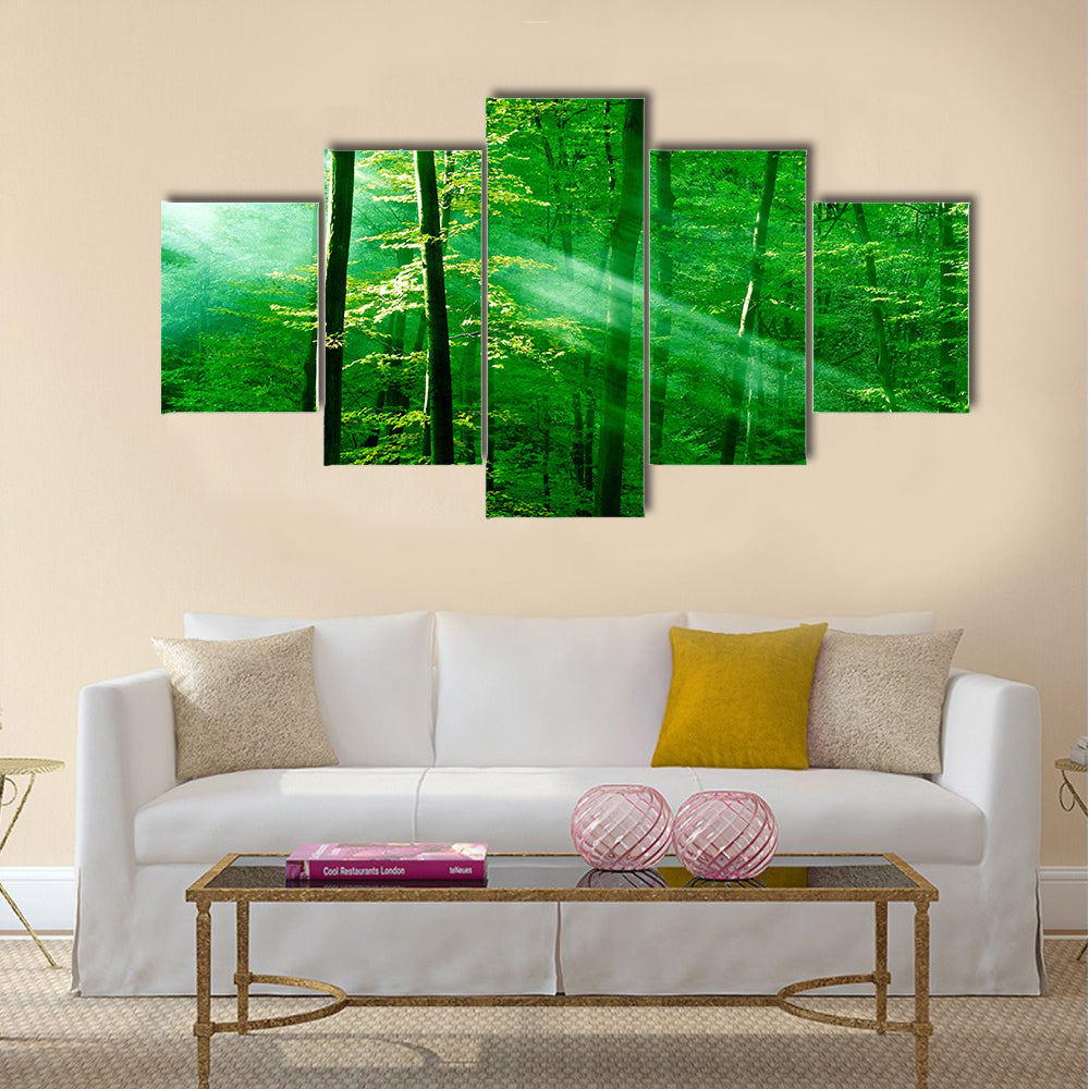 Lights of the forest multi panel canvas wall art