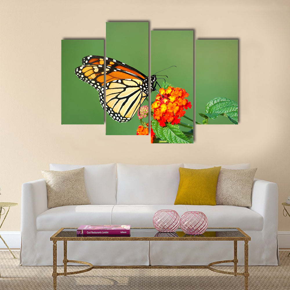 A beautiful Monarch Butterfly feeding on a Lantana bloom Multi Panel Canvas Wall Art