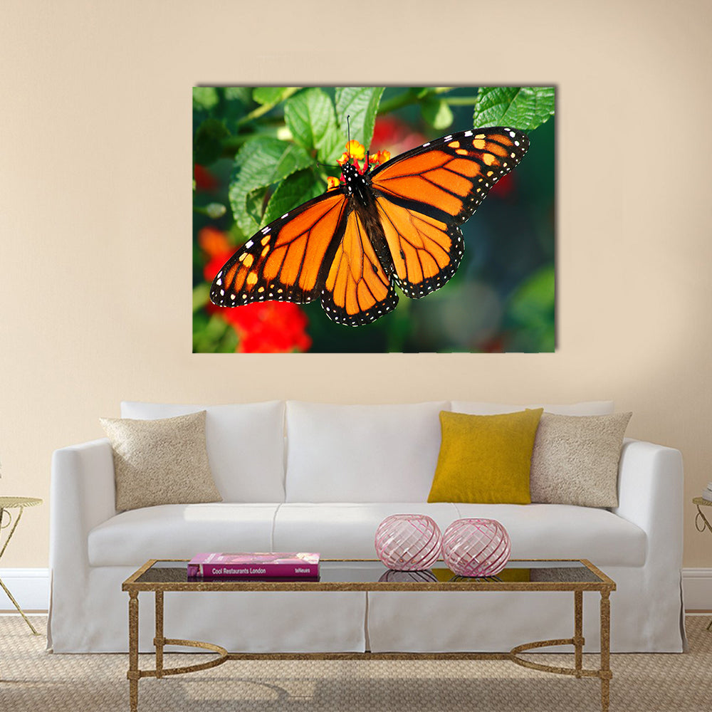 A beautiful Monarch butterfly with vibrant color Multi Panel Canvas Wall Art