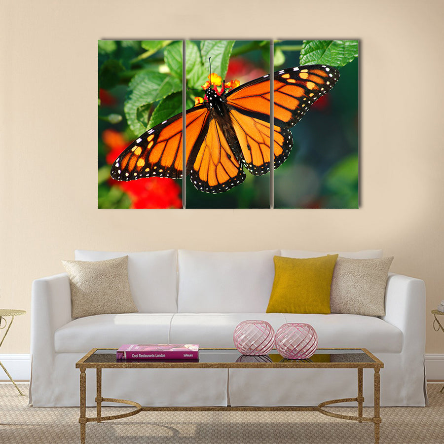 A beautiful Monarch butterfly with vibrant color Multi Panel Canvas Wall Art