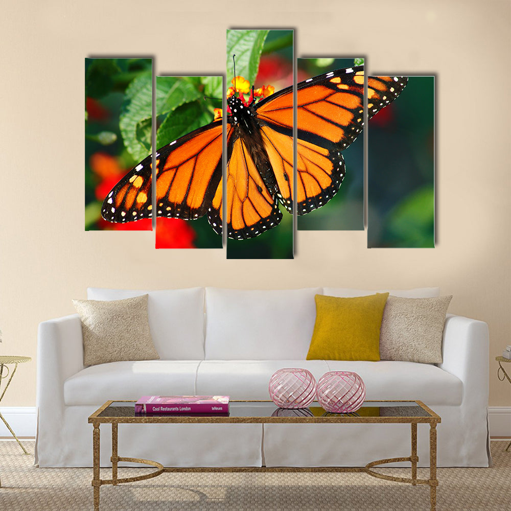 A beautiful Monarch butterfly with vibrant color Multi Panel Canvas Wall Art