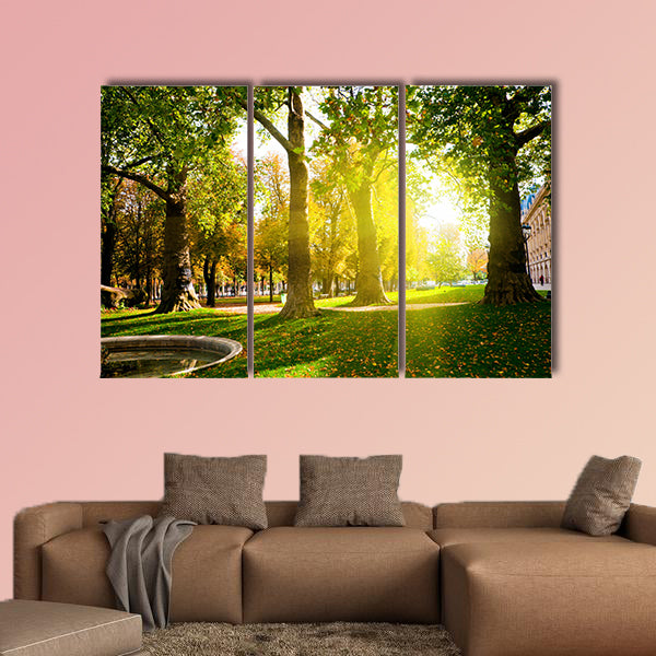 Low setting sun in Green Park casting long shadows Multi panel canvas wall art