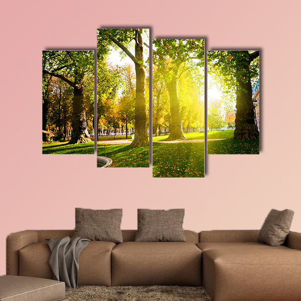 Low setting sun in Green Park casting long shadows Multi panel canvas wall art