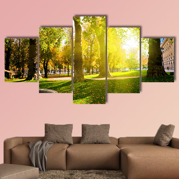 Low setting sun in Green Park casting long shadows Multi panel canvas wall art