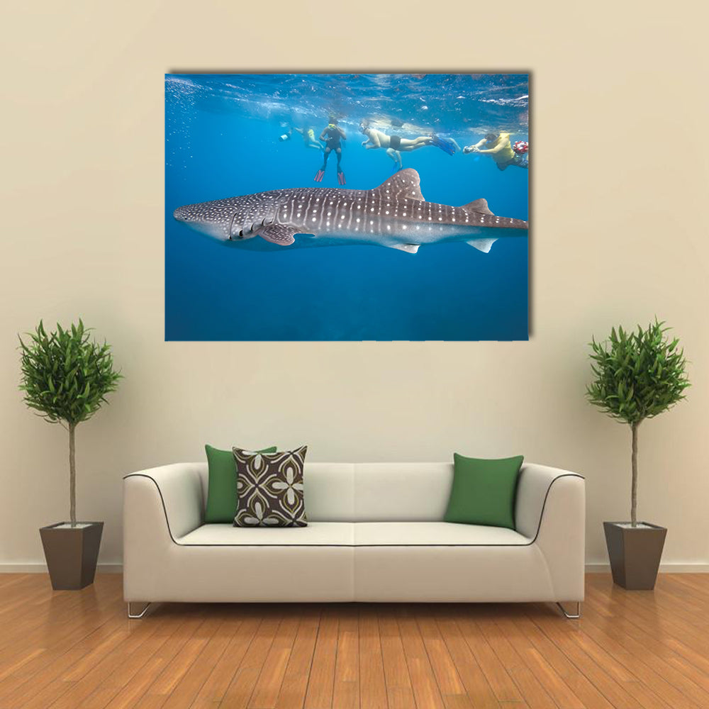 Whale Shark And Snorkeling People Multi Panel Canvas Wall Art