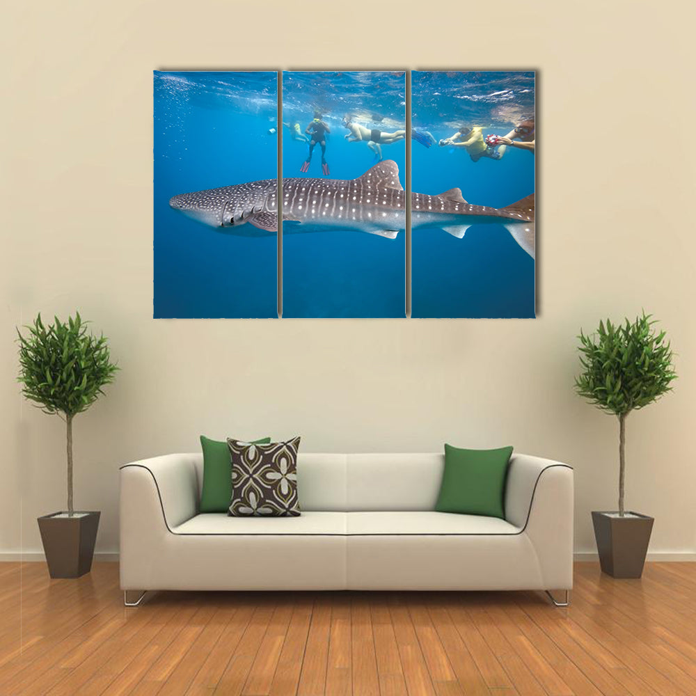 Whale Shark And Snorkeling People Multi Panel Canvas Wall Art