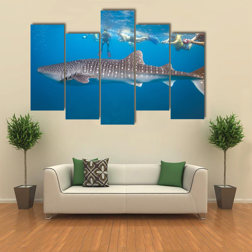 Whale Shark And Snorkeling People Multi Panel Canvas Wall Art