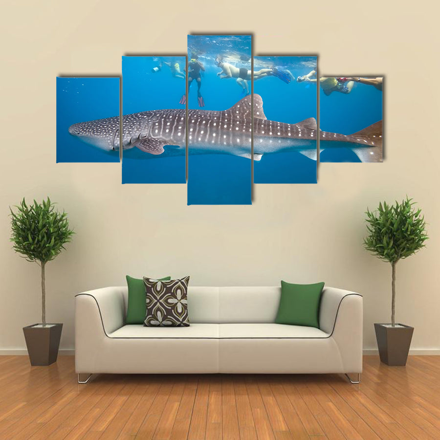 Whale Shark And Snorkeling People Multi Panel Canvas Wall Art